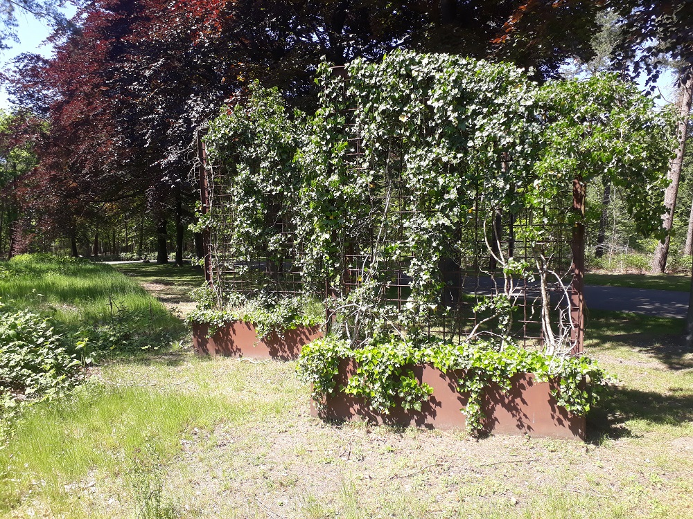 Maatwerk plantenbak voorzien van hoog frame voor klimplanten.